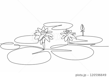 Continuous one line drawing lotus leaves and flowers in wetlands. Provide a natural filter for sediment and runoff. Environmental. World Wetlands Day. Single line draw design vector illustration 120596649