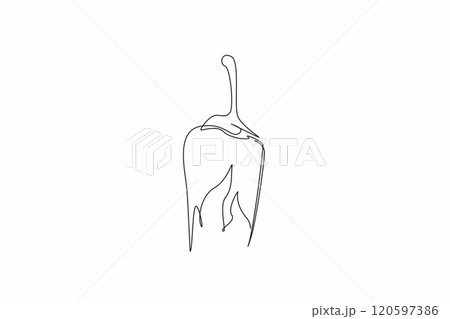 Single continuous line drawing shape of a chili pepper with flames emerging from its base. The chili pepper associated with spice and passion. National Chili Day. One line design vector illustration 120597386