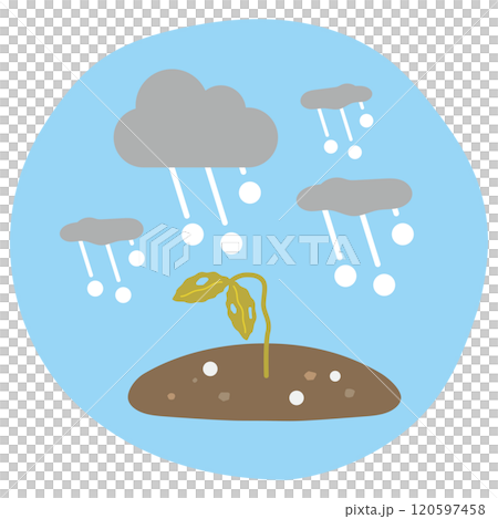 雹害を受けた農作物 120597458