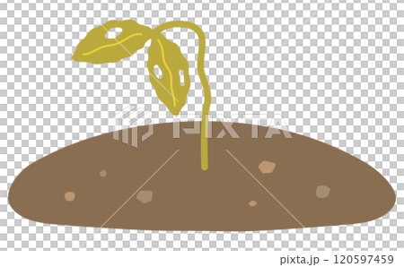虫食いのある萎れた病気の植物 120597459
