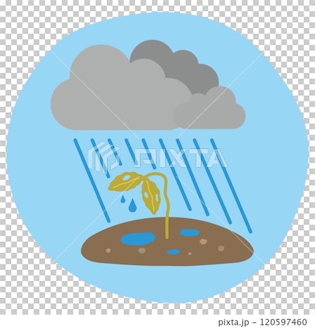 Crops damaged by heavy rain 120597460