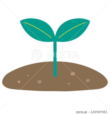 元気に育つ双葉の植物 120597461