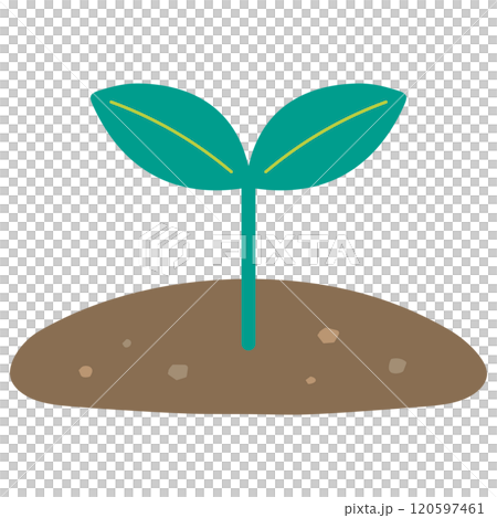 元気に育つ双葉の植物 120597461