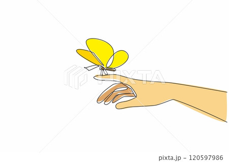 Single continuous line drawing butterfly perched on fingertip. Transformation, renewal, and the promise of a brighter future. Respect. Zero Discrimination Day. One line design vector illustration 120597986