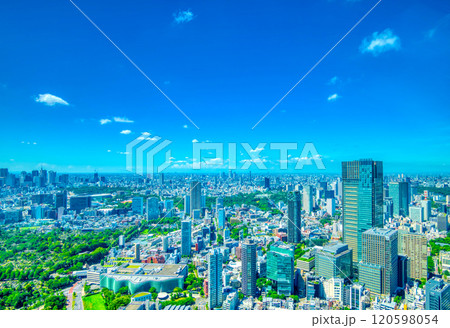 初夏の東京風景・大都会の青空と緑 120598054