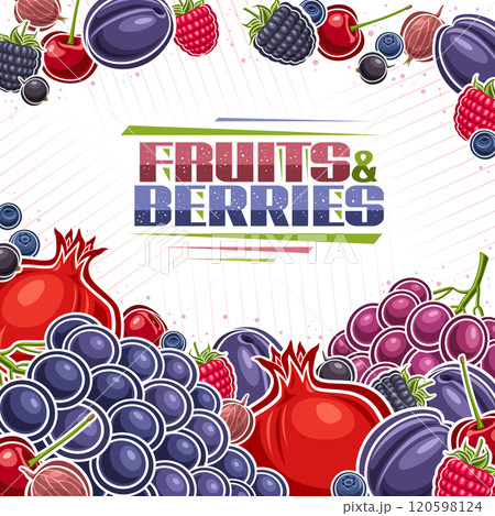 Vector Berries Layout Vector Berries Layout 120598124