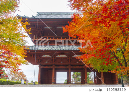秋の高野山 大門と紅葉したモミジ 秋の高野山 大門と紅葉したモミジ 120598529