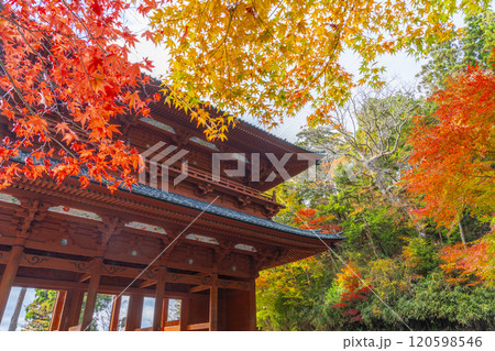 秋の高野山　大門と紅葉したモミジ 120598546
