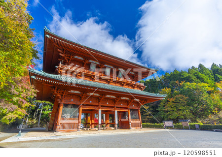 秋の高野山　大門と紅葉したモミジ 120598551
