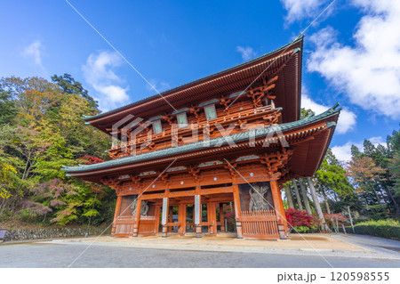 秋の高野山 大門と紅葉したモミジ 秋の高野山 大門と紅葉したモミジ 120598555