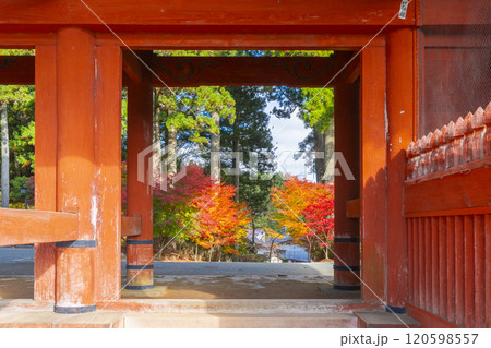秋の高野山 大門と紅葉したモミジ 秋の高野山 大門と紅葉したモミジ 120598557
