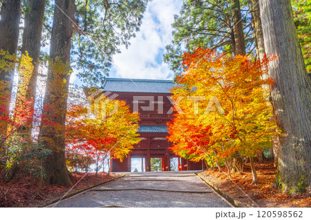 秋の高野山 大門と紅葉したモミジ 秋の高野山 大門と紅葉したモミジ 120598562