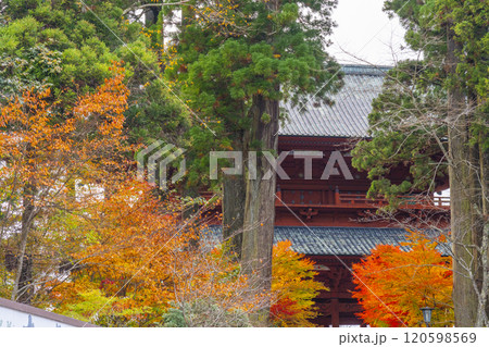 秋の高野山　大門と紅葉したモミジ 120598569