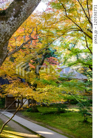 秋の朝 中尊寺大長寿院参道より旧覆堂を観る 秋の朝 中尊寺大長寿院参道より旧覆堂を観る 120598731
