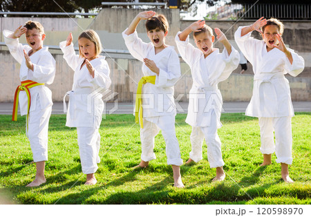 Group of focused schoolchildren practicing karate at park Group of focused schoolchildren practicing karate at park 120598970