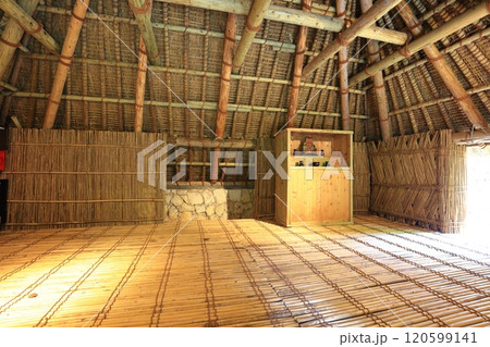 【沖縄県】おきなわ郷土村（おもろ植物園） 120599141