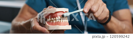 Demonstrating Proper Brushing Technique on Dental Model 120599242