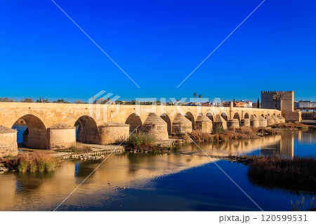 Roman bridge over Guadalquivir river in Cordoba, Spain 120599531
