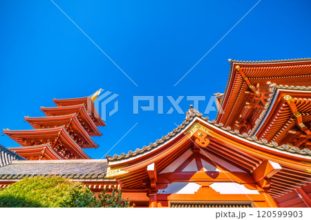 日本の東京都市景観　未来へ繋ぐ…青空が広がる東京。浅草寺の五重塔や宝蔵門などを望む。新時代へ＝25日 120599903