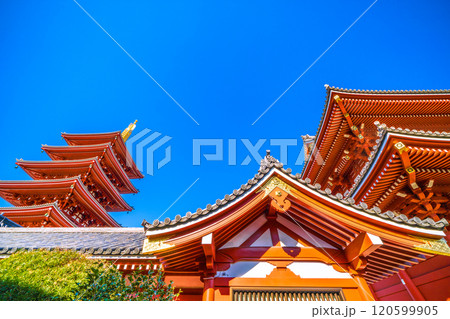 日本の東京都市景観　未来へ繋ぐ…青空が広がる東京。浅草寺の五重塔や宝蔵門などを望む。新時代へ＝25日 120599905