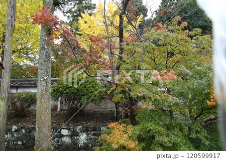 玉城　　廣泰寺　　紅葉 120599917