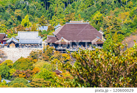 京都、阿弥陀ヶ峰からの清水寺 120600029