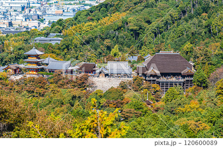 京都、阿弥陀ヶ峰からの清水寺 120600089
