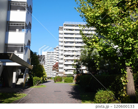団地のある都市風景｜高島平団地 120600133