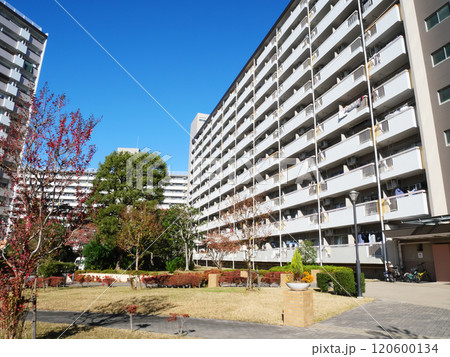 青空と団地のある都市風景|高島平団地 青空と団地のある都市風景|高島平団地 120600134