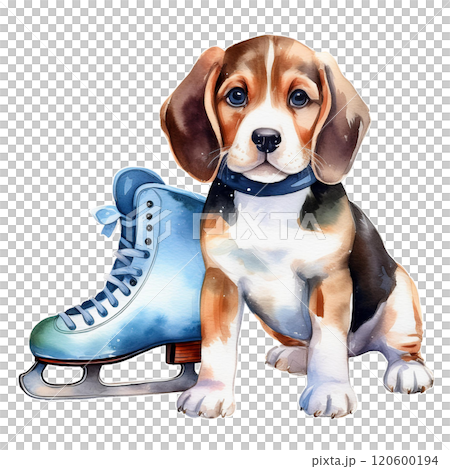 溜冰鞋和小獵犬的水彩插圖 1/傳單和海報材料 120600194