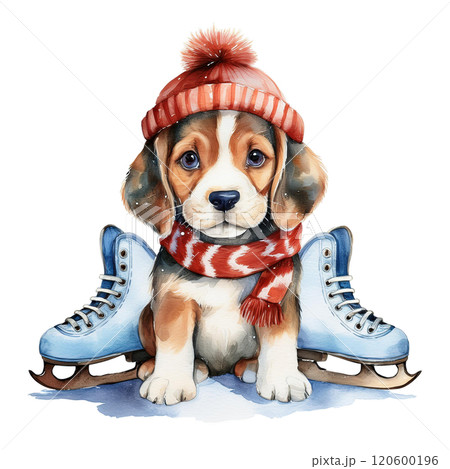 スケート靴とビーグルの水彩イラスト3/チラシやポスター用素材 スケート靴とビーグルの水彩イラスト3/チラシやポスター用素材 120600196