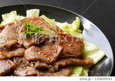 黒毛和牛カルビ 切落し 焼肉 国産牛 キャベツ	 黒毛和牛カルビ 切落し 焼肉 国産牛 キャベツ	 120600242