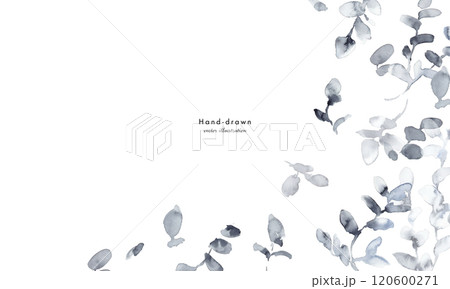 水彩画。水彩タッチのモノクロの草木植物ベクターイラスト。草木の高級感あるイメージ背景。モノクロの草木 120600271