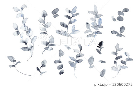 水彩画。水彩タッチのモノクロの草木植物ベクターイラスト。草木の高級感あるイメージ背景。モノクロの草木 120600273