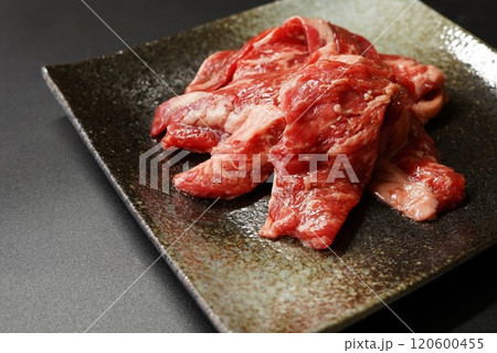 牛ハラミ うちハラミ 牛肉 牛ハラミ うちハラミ 牛肉 120600455