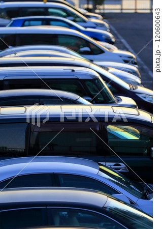 並んだ乗用車　イメージ 120600643
