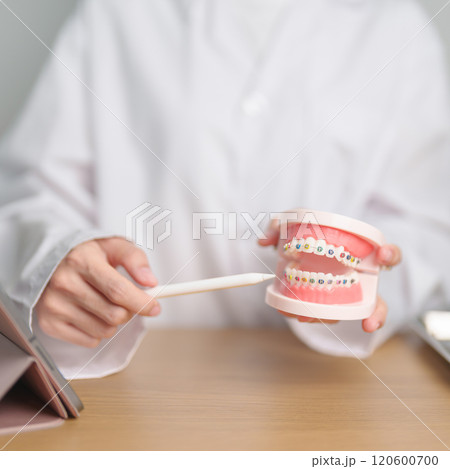 Dentist with Orthodontic tooth model and bracket or brace. Clean and Scrape off tartar. May Orthodontic Health Day, March Oral health, Dentist Day, False Teeth. Toothache and Children Dental Health Dentist with Orthodontic tooth model and bracket or brace. Clean and Scrape off tartar. May Orthodontic Health Day, March Oral health, Dentist Day, False Teeth. Toothache and Children Dental Health 120600700