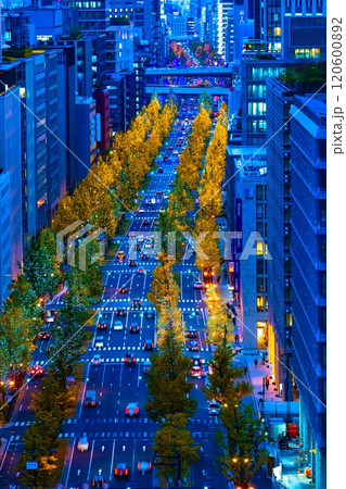 御堂筋イルミネーションの眺望 120600892