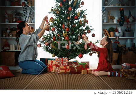 family celebrating Christmas 120601212