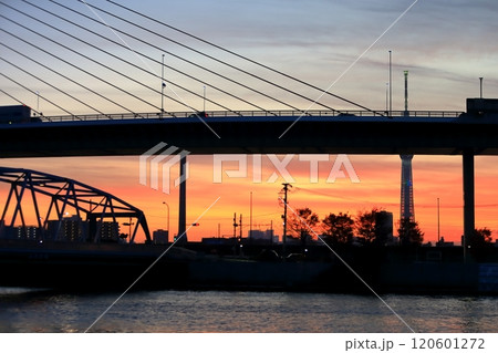 上平井橋とかつしかハープ橋 上平井橋とかつしかハープ橋 120601272