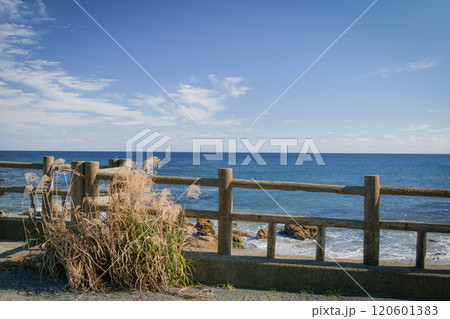 海の見える公園 120601383
