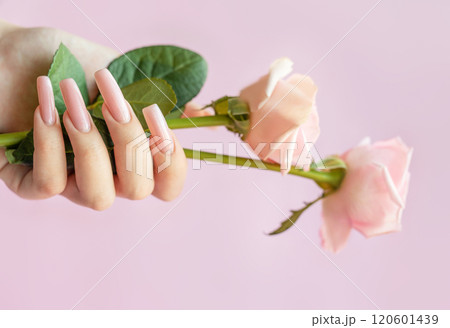 Woman holding pink roses showing long ballerina nails manicure on pink background 120601439