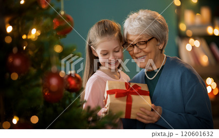 family celebrating Christmas 120601632