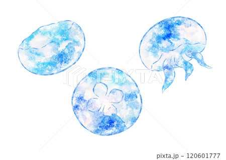 くらげ くらげ 120601777