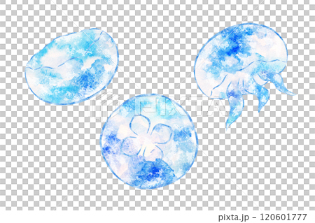 くらげ くらげ 120601777