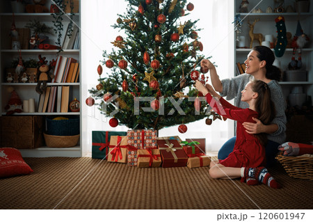 family celebrating Christmas 120601947