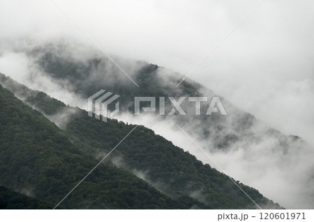 山並みに立ち込める厚い霧 120601971