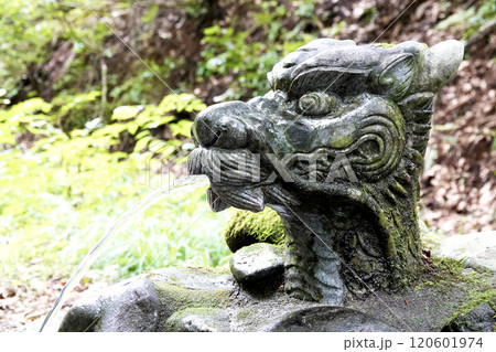 龍頭の口から湧き水が出る水飲み場 120601974