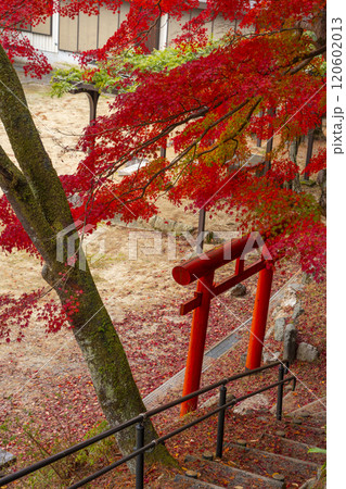 高野山　高野七弁天　紅葉に包まれた祓川弁財天 120602013
