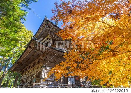 高野山　壇上伽藍　紅葉に包まれた西塔 120602016